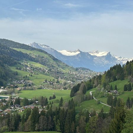 Chalet Saint Victor, Praz Sur Arly Exterior foto