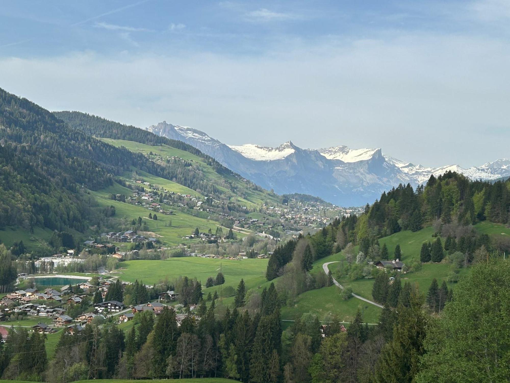 Chalet Saint Victor, Praz Sur Arly Exterior foto